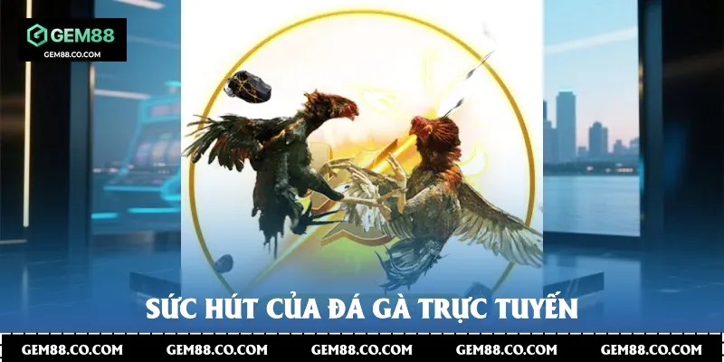 Sức hút của đá gà trực tuyến